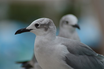 Traveling photos are the best!