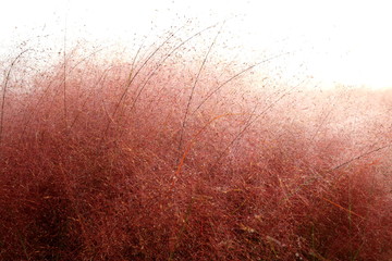 아름다운 가을 풍경