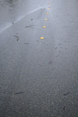 Street with water flooding from both sides, yellow center line dots, still raining