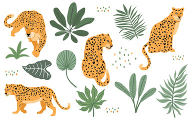 Cute animal object collection with leopard,tiger. illustration for icon,logo,sticker,printable © piixypeach
