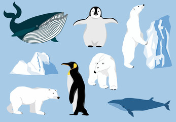 Simple arctic animal with bear polar,penguin,whale.Vector illustration character doodle cartoon