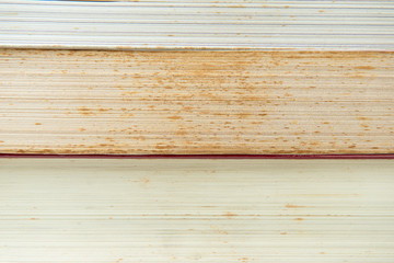 Texture of books with mold, wet and dust