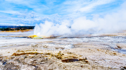 Spouting water of the active Jelly Geyser with its yellow sulfur mineral mount in the Lower Geyser Basin at the Fountain Paint Pot Trail in Yellowstone National Park, Wyoming, United States