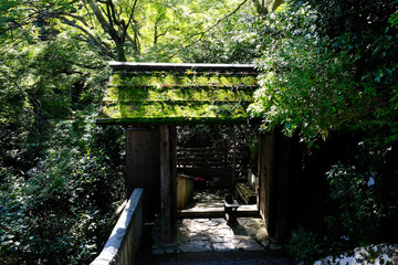 京都嵐山の大悲閣千光寺の参道の苔むした山門