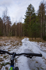 Winter forest in cenral Russia