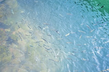 texture of ice on surface of water