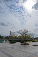 Obraz premium 早春の太陽の下の公園と運動場