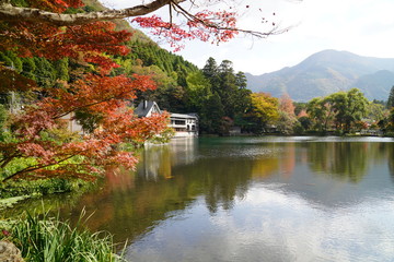 金鱗湖　紅葉　大分県由布市湯布院町