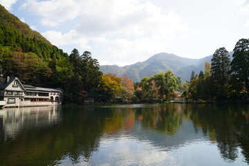 Fototapeta premium 金鱗湖 紅葉 大分県由布市湯布院町