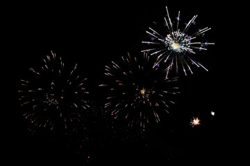 Fireworks light up the sky celebration