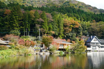 Naklejka premium 金鱗湖 紅葉 大分県由布市湯布院町