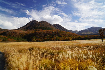 タデ原湿原　紅葉　大分県玖珠郡九重町