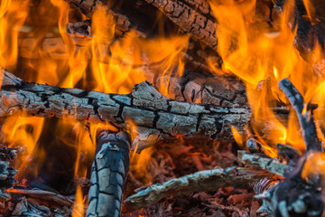 Bonfire flame and charred logs close-up. Abstract background