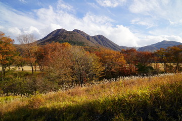 タデ原湿原　紅葉　大分県玖珠郡九重町