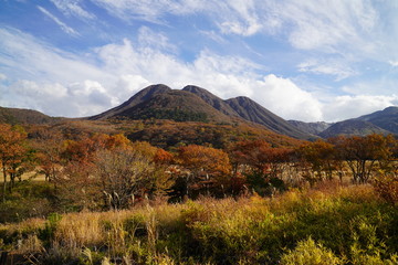 タデ原湿原　紅葉　大分県玖珠郡九重町
