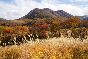 タデ原湿原　紅葉　大分県玖珠郡九重町