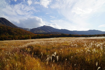 タデ原湿原　紅葉　大分県玖珠郡九重町