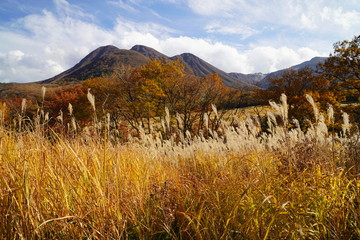 タデ原湿原　紅葉　大分県玖珠郡九重町