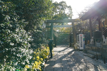 小倉城　紅葉時期 福岡県北九州市