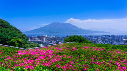 桜島