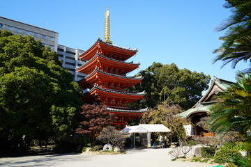 東長寺　紅葉　福岡市博多区