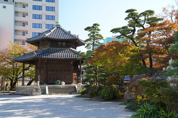 東長寺　紅葉　福岡市博多区