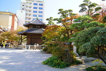 東長寺　紅葉　福岡市博多区