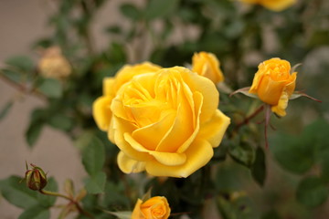 It’s getting colder day by day