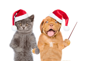 Funny cat and dog wearing red christmas hats and pointing away on empty space. isolated on white background