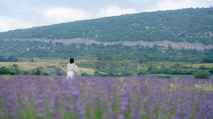 A woman in a beautiful purple petals of Lavender flower blossom in row at a field, moutain on background, selective focus