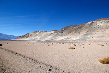 Landscape in the Puna de Atacama, Argentina
