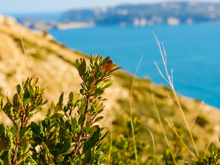 Cape San Antonio, seascape in Spain