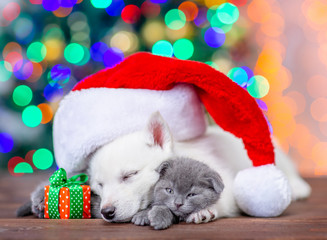 Fototapeta na wymiar White siberian husky wearing a red santa hat sleeps and embraces cute kitten with gift box on a background of the Christmas tree