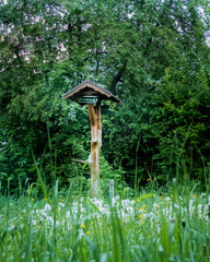 Typischer Wegweiser am Rennsteig im Thüringer Wald, nahe Schmalkalden/Asbach
