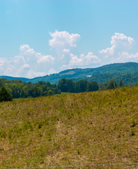 Grassy Field Verticle