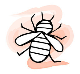 Honey bee. Black and white hand-drawn vector illustration
