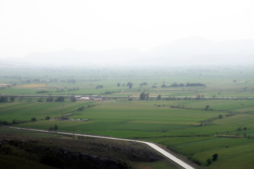 vegetable field with road and clouds
