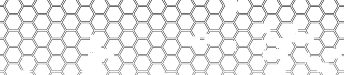 Honeycomb Cell Web Banner