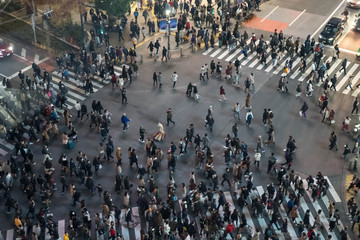世界一有名な東京渋谷の交差点。