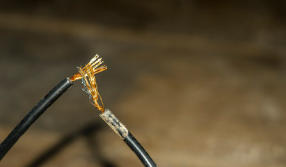 closeup of joint stripped an electric cables   