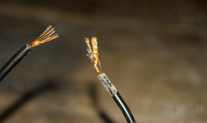 closeup of joint stripped an electric cables   