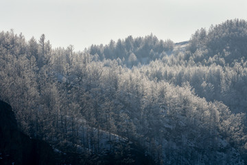 winter landscape with mountains and snowy trees on the island of olkhon on Baikal