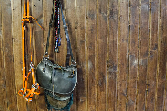 saddle horse reins on Brown wooden wall