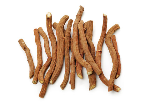 Red Sage Root（Salvia miltiorrhiza Bge）on white background