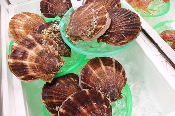 日本の市場で売られていたホタテ貝