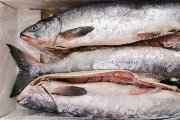 日本の市場で売られていた塩鮭 - obrazy, fototapety, plakaty