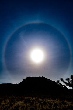 Sun Dogs in Joshua Tree, California