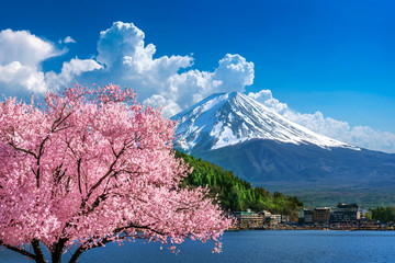 Fuji mountain and cherry blossoms in spring, Japan. - obrazy, fototapety, plakaty