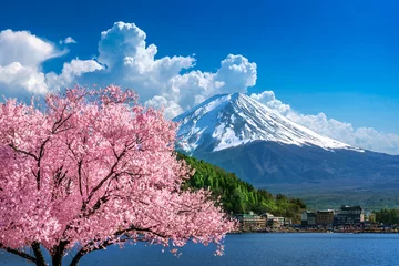 Papier Peint photo autocollant Mont Fuji Fuji mountain and cherry blossoms in spring, Japan.