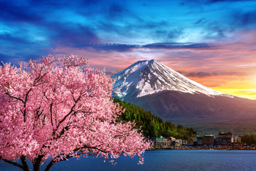 Fuji mountain and cherry blossoms in spring, Japan.